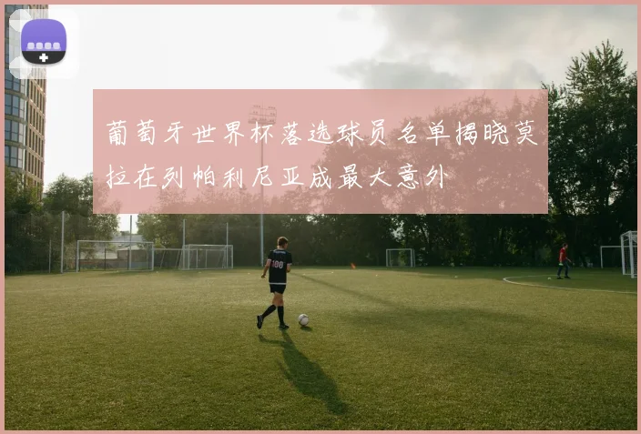 葡萄牙世界杯落选球员名单揭晓莫拉在列帕利尼亚成最大意外